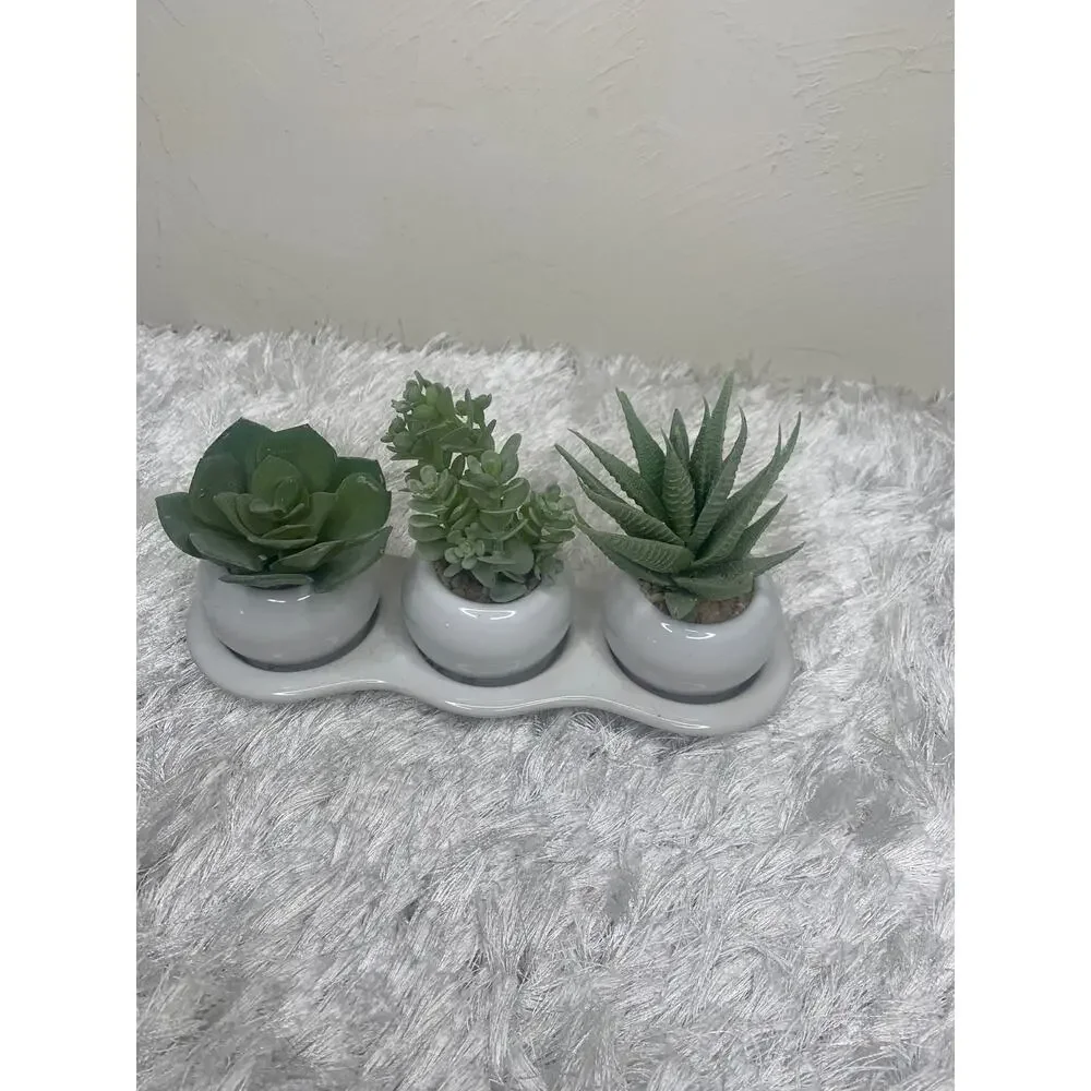 Faux Succulent Three Plant Modern Planter 3 x 9